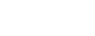 DDV Logo